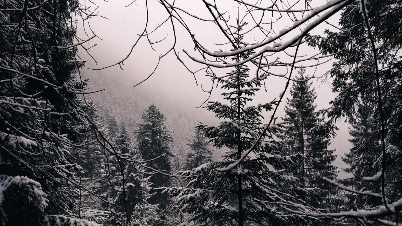 Wanderlust Panorama - Leben Im Nationalpark Apartment ฟรอยเดนชตัดท์ ภายนอก รูปภาพ