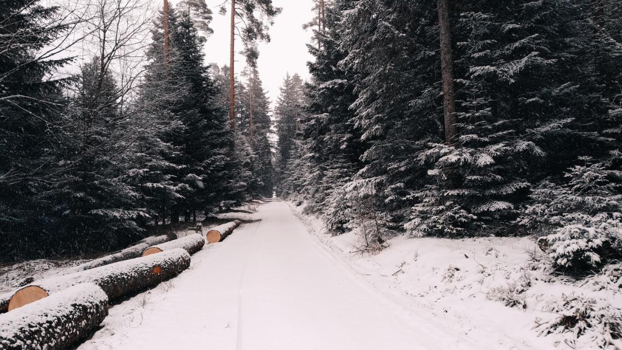Wanderlust Panorama - Leben Im Nationalpark Apartment ฟรอยเดนชตัดท์ ภายนอก รูปภาพ